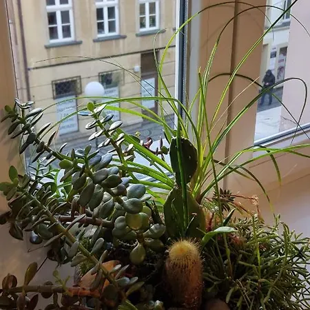 Apartament Nad Bristolka Lejlighed *